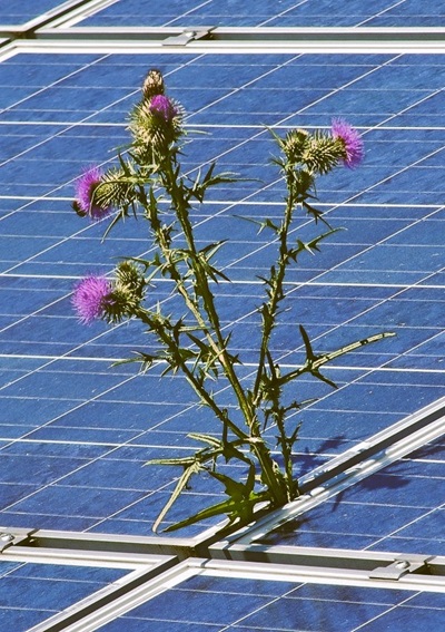 Col crowdfunding è oggi possibile finanziare diversi progetti, tra cui anche alcuni nel settore energetico.